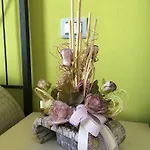 Bed & Breakfast Appartamento La Costa Pignone